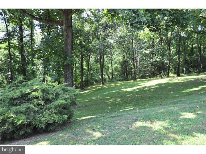 3028 Flint Hill Road Hellertown, PA 18055 - Photo 12 of 17 Exterior Back