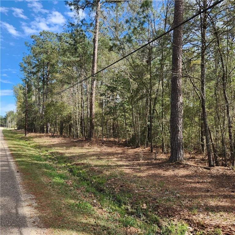 Lot 35 Charles Kelly Road Bush, LA 70431 - Photo 1 of 1 Gallery Image 1