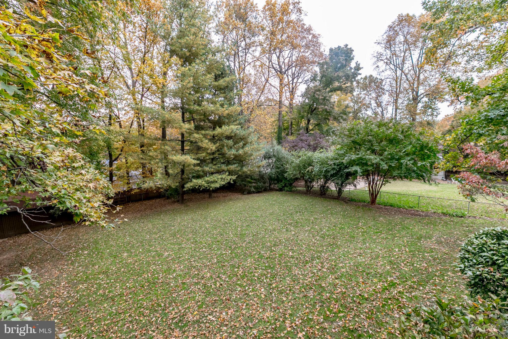 8734 Center Road Springfield, VA 22152 - Photo 18 of 40 Imagine the possibilities in this awesome yard!