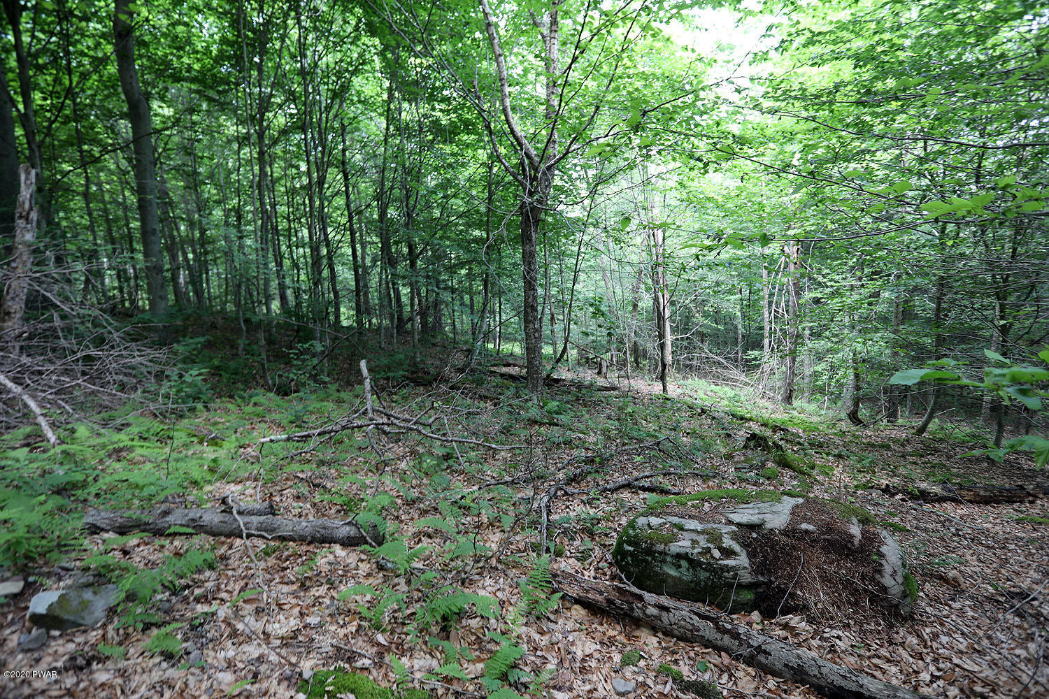 0 Minckler Mountain Road Equinunk, PA 18417 - Photo 19 of 39