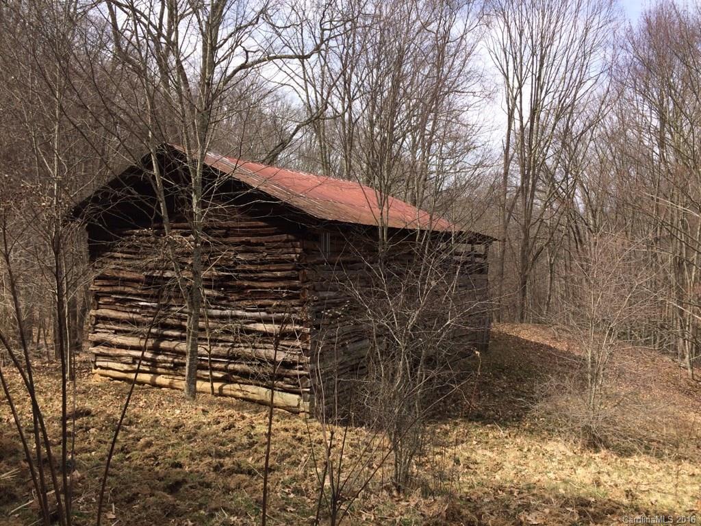 0 Crabtree Mountain Road Clyde, NC 28721 - Photo 2 of 13