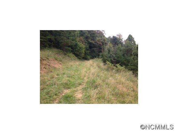 0 Crabtree Mountain Road Clyde, NC 28721 - Photo 11 of 13