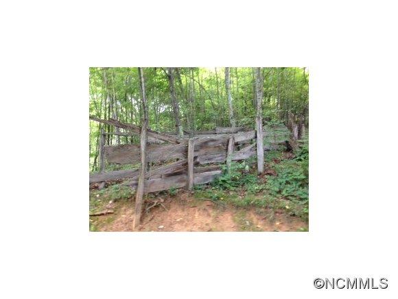 0 Crabtree Mountain Road Clyde, NC 28721 - Photo 3 of 13