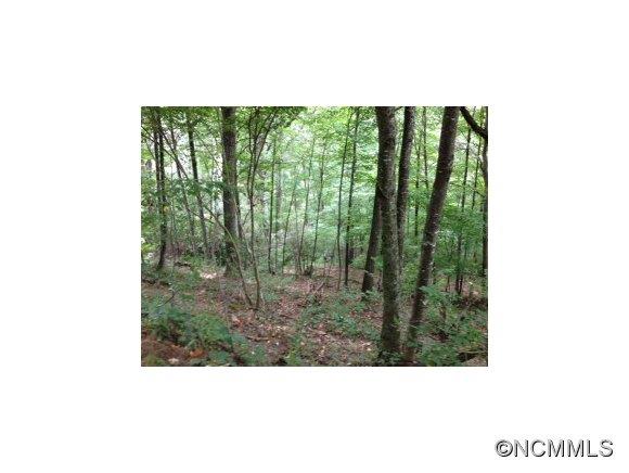 0 Crabtree Mountain Road Clyde, NC 28721 - Photo 4 of 13