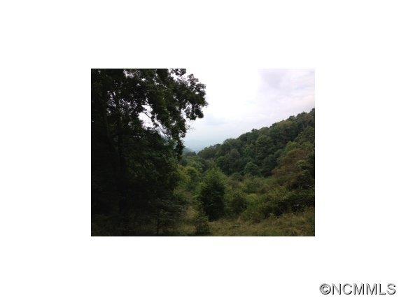 0 Crabtree Mountain Road Clyde, NC 28721 - Photo 6 of 13