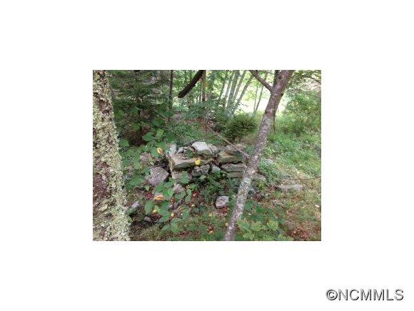 0 Crabtree Mountain Road Clyde, NC 28721 - Photo 7 of 13