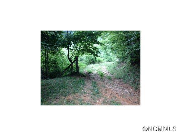0 Crabtree Mountain Road Clyde, NC 28721 - Photo 8 of 13