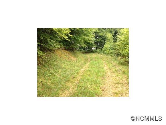 0 Crabtree Mountain Road Clyde, NC 28721 - Photo 10 of 13