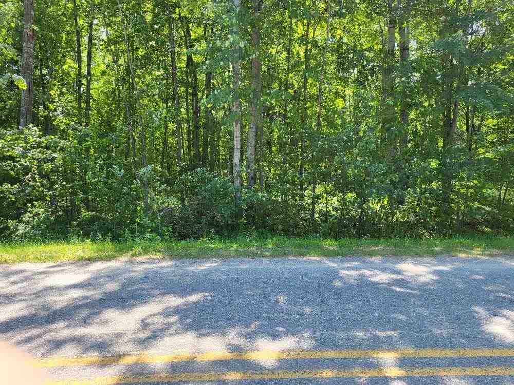 Lot 69 Pineway Drive Gladwin, MI 48624 - Photo 4 of 5