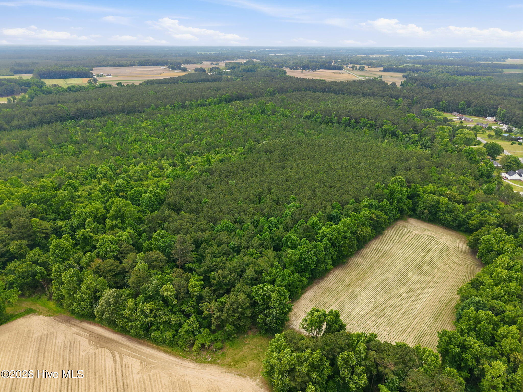 0 Off Gay Road Walstonburg, NC 27888 - Photo 8 of 11 8-web-or-mls-DJI_20260511120806_0027_D