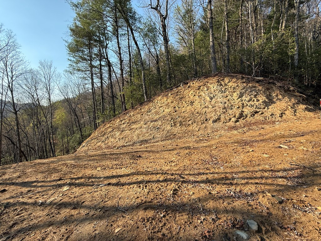 Lot 5 Huffman Creek Road Robbinsville, NC 28771 - Photo 4 of 13