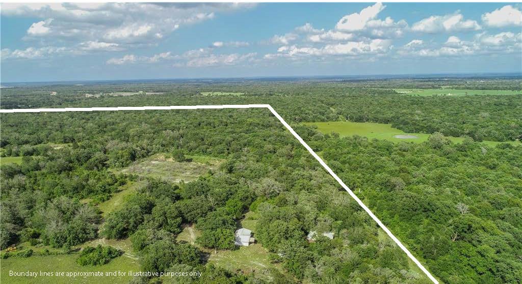 12200 Winn Road Franklin, TX 77856 - Photo 24 of 33 a view of a yard with a large trees