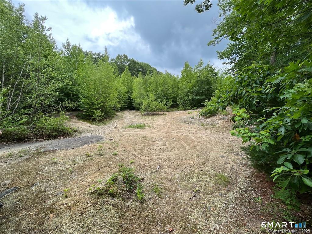 353 Allentown Road Plymouth, CT 06786 - Photo 2 of 9 a view of a dirt road with trees in the background