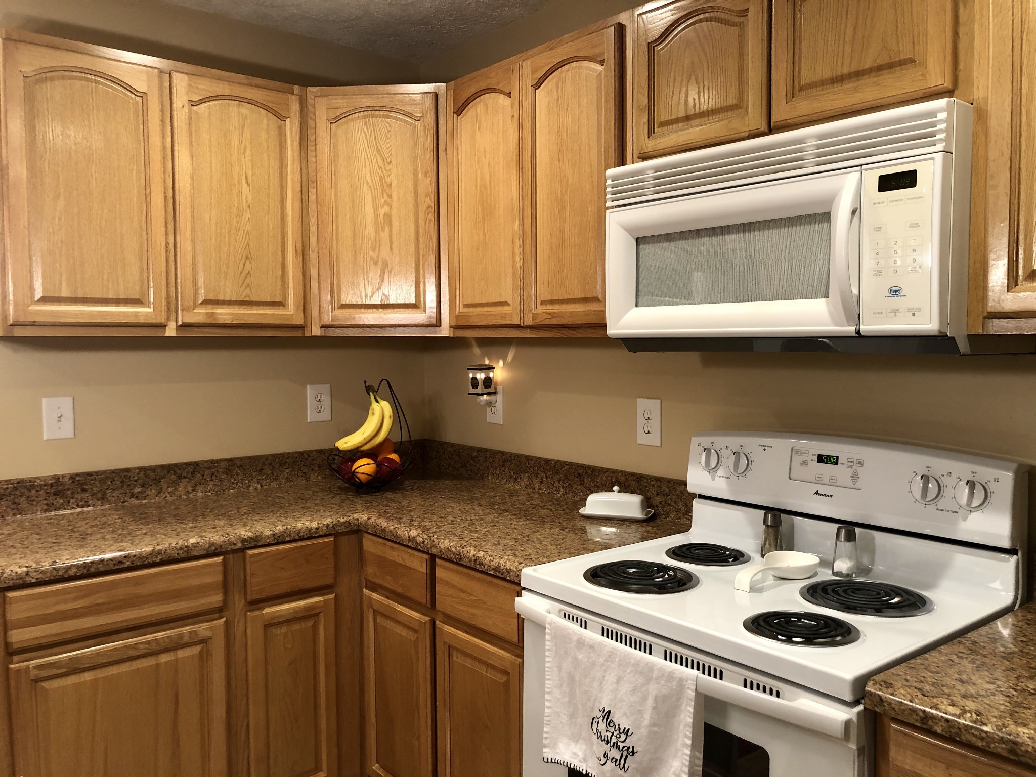 295 Little Creek Road Pleasant Shade, TN 37145 - Photo 21 of 41 Gallery Image 21