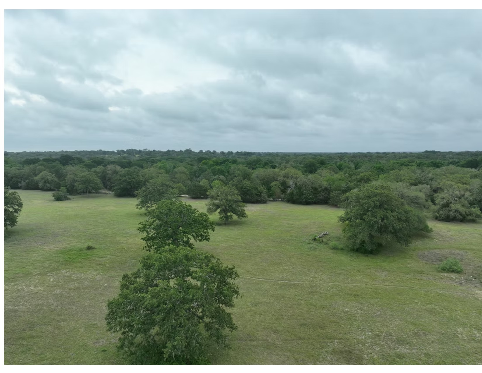 Lot 4-tbd County Road 127 Road Ledbetter, TX 78946 - Photo 7 of 8