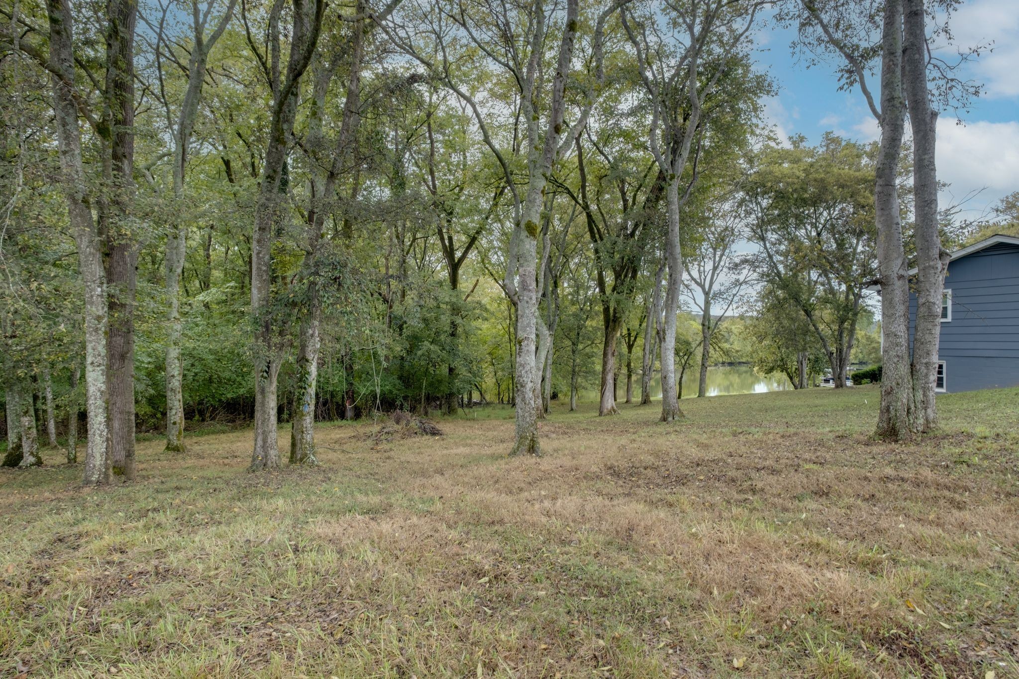0 Pointview Circle Mount Juliet, TN 37122 - Photo 3 of 9 a view of outdoor space with trees