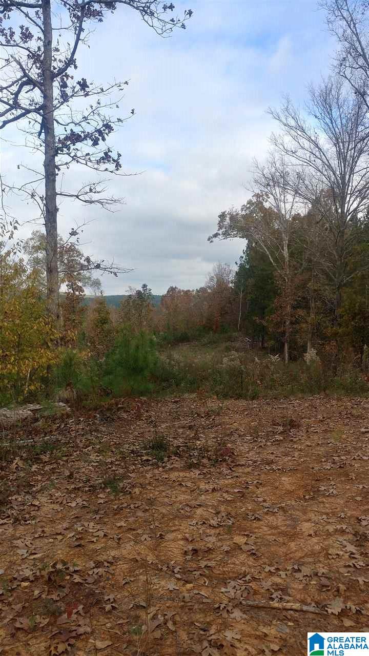 0 Bulldog Bend Road Brierfield, AL 35035 - Photo 25 of 32
