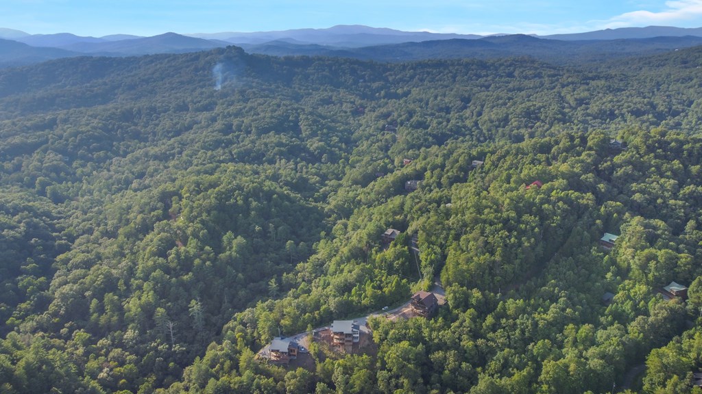 45 Eagle Watch Court Blue Ridge, GA 30513 - Photo 54 of 58 a view of a lush green hillside and a building