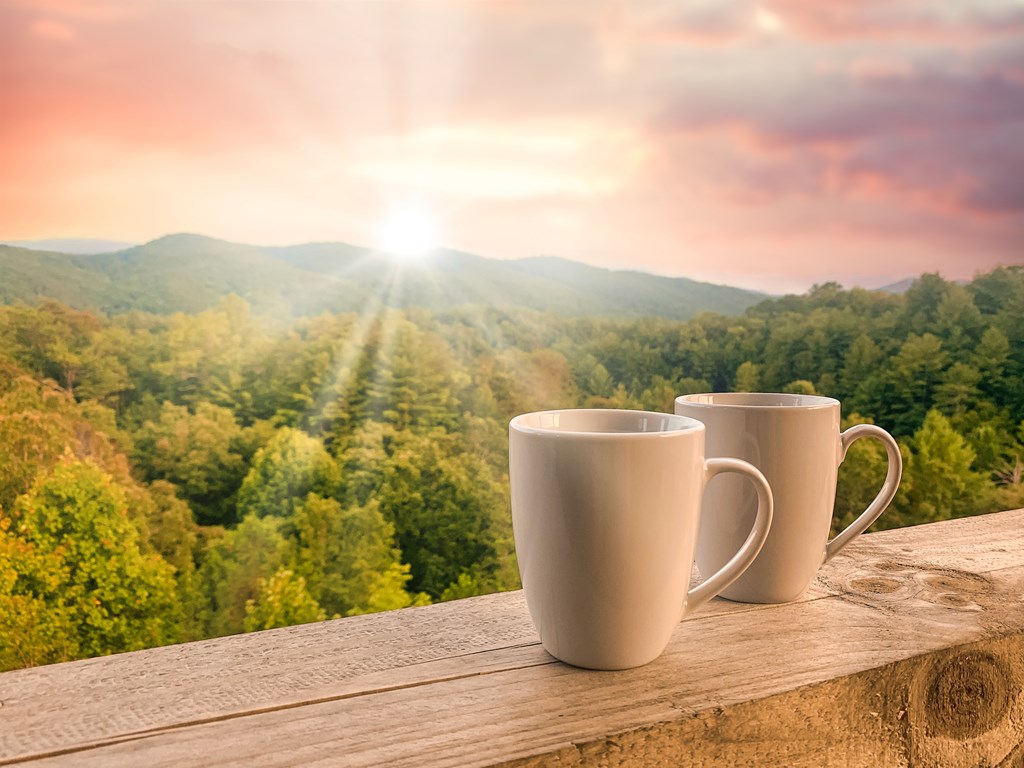 45 Eagle Watch Court Blue Ridge, GA 30513 - Photo 56 of 58 a view of a balcony with wooden floor and fence