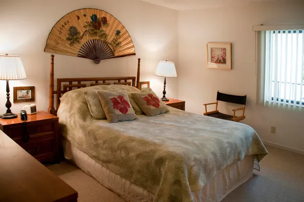 a bedroom with a bed and dresser