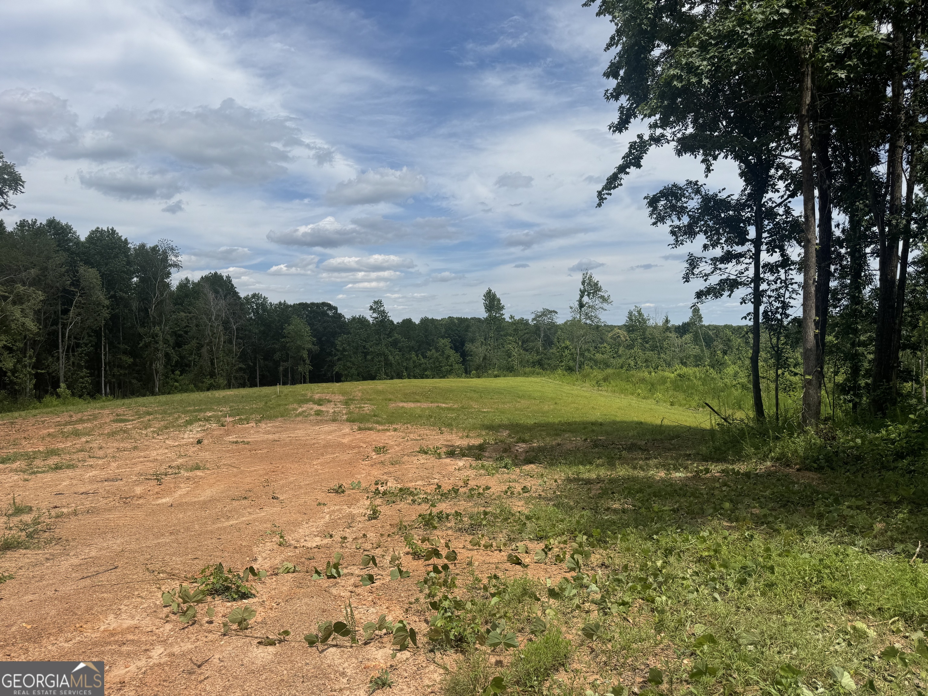Lot 4 Happy Hollow Road Roopville, GA 30170 - Photo 3 of 11