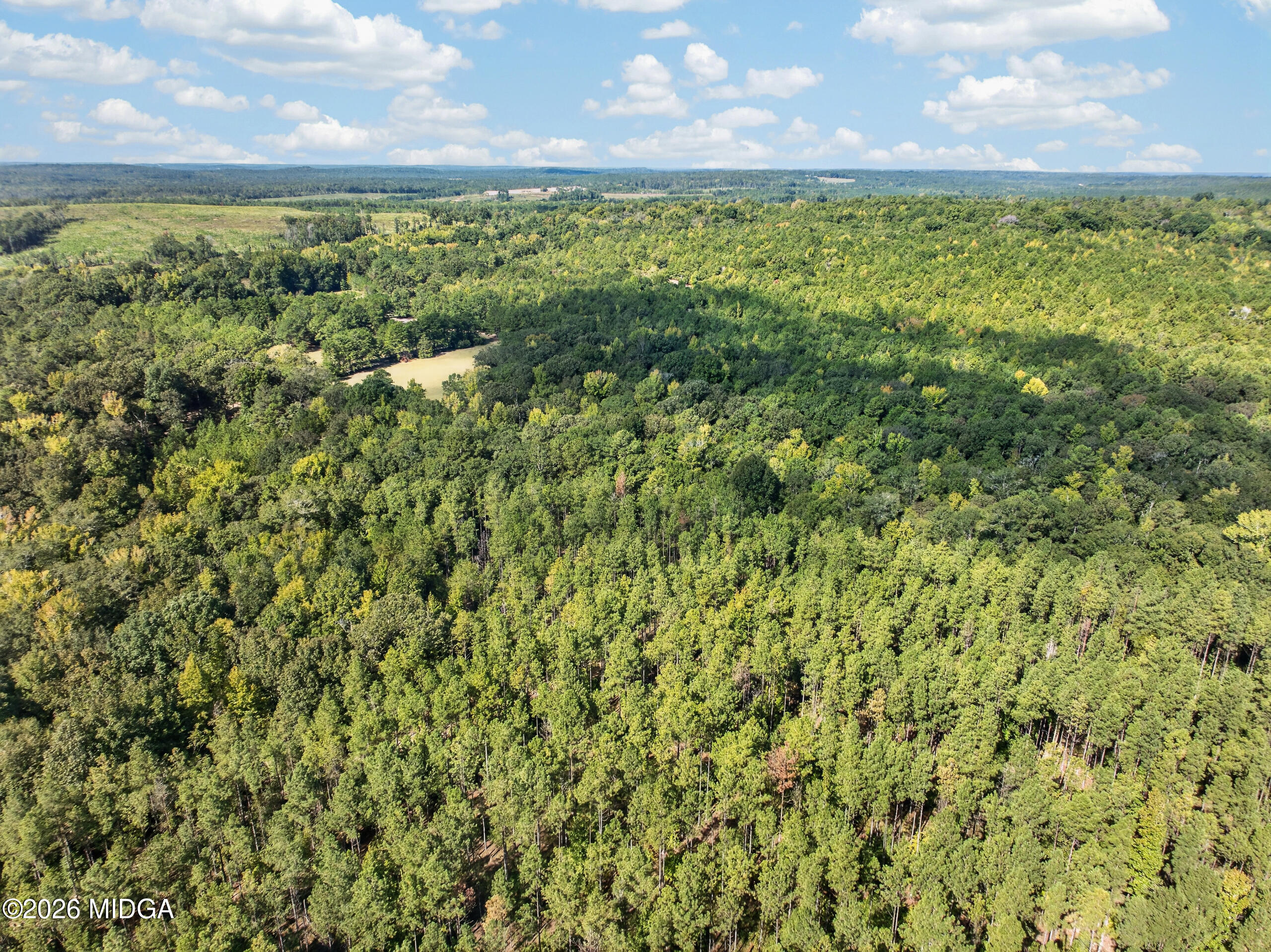 881 King Road Gordon, GA 31031 - Photo 23 of 44 DJI_0578