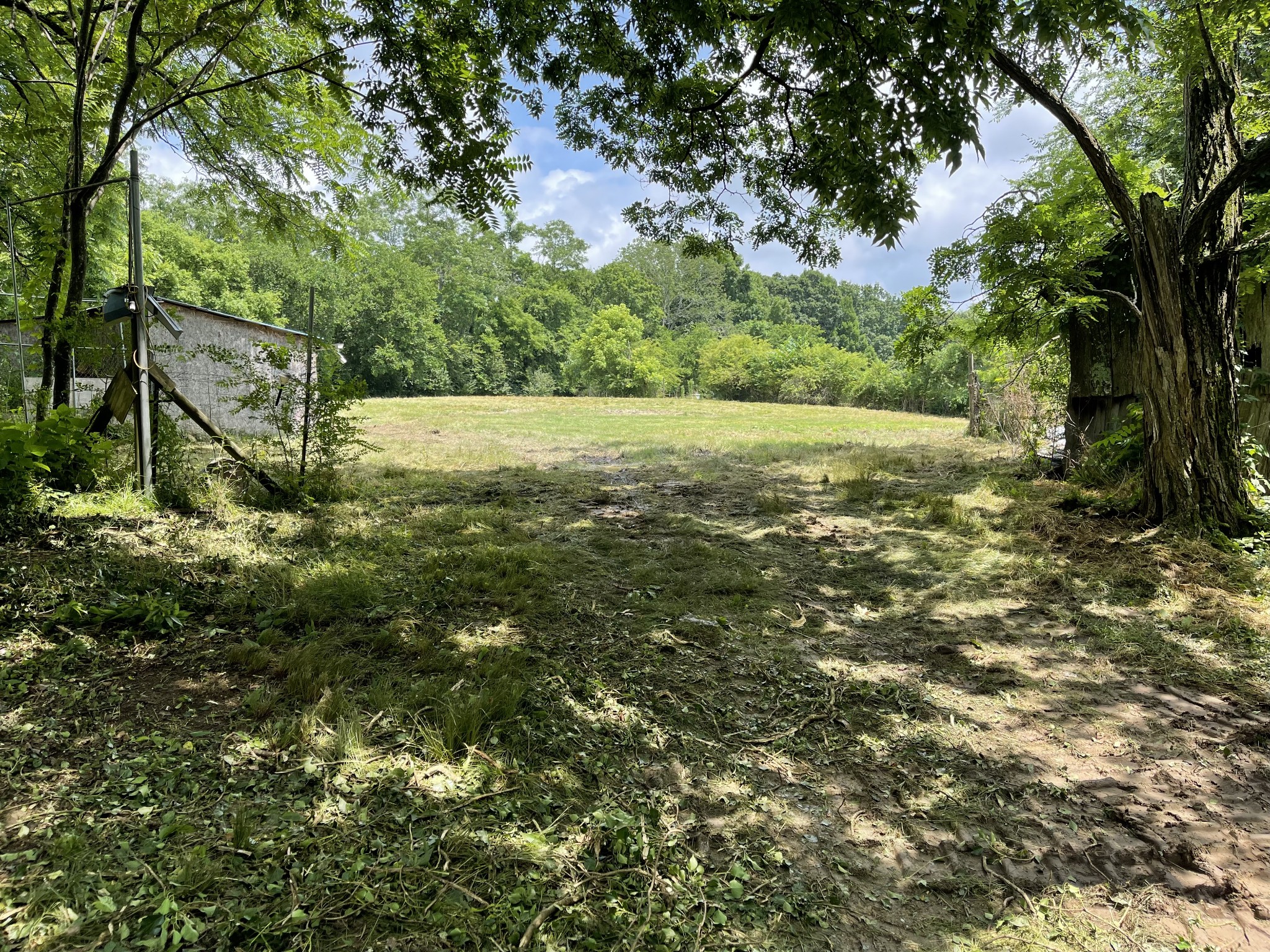 233 Preston Ridge/wet Prong Road Mulberry, TN 37359 - Photo 2 of 4 a view of yard with large trees