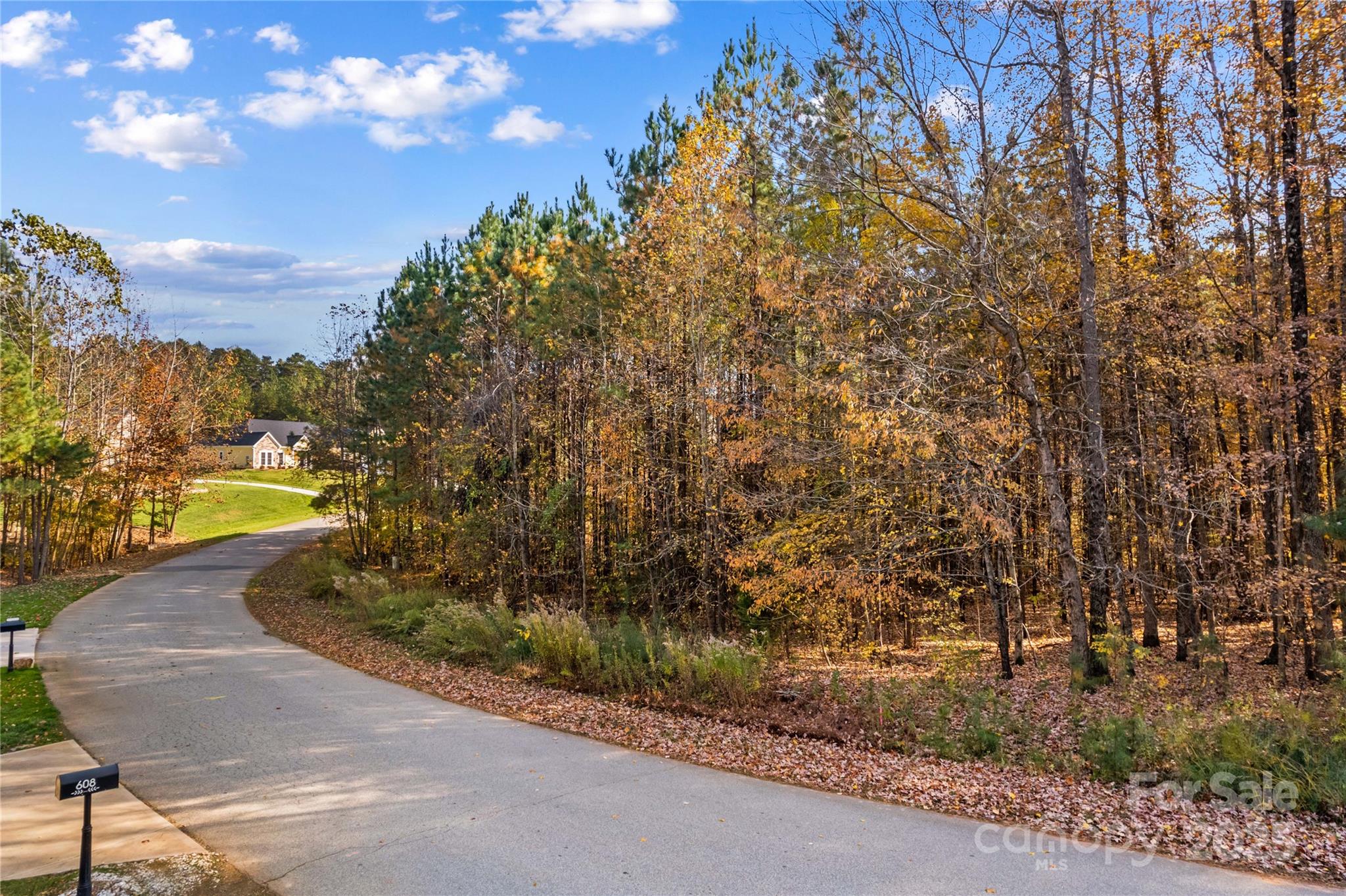 589 Sunset Pointe Drive Salisbury, NC 28146 - Photo 15 of 22 a view of a yard with a tree