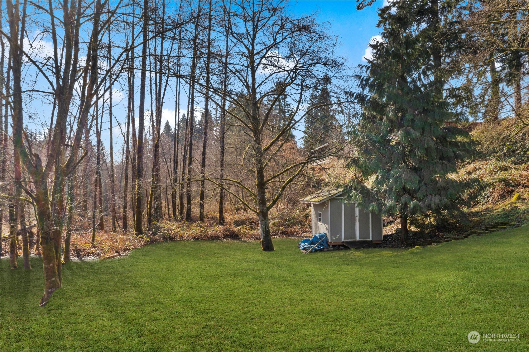17005 51st Avenue Southeast Bothell, WA 98012 - Photo 39 of 40 a view of yard with tree s