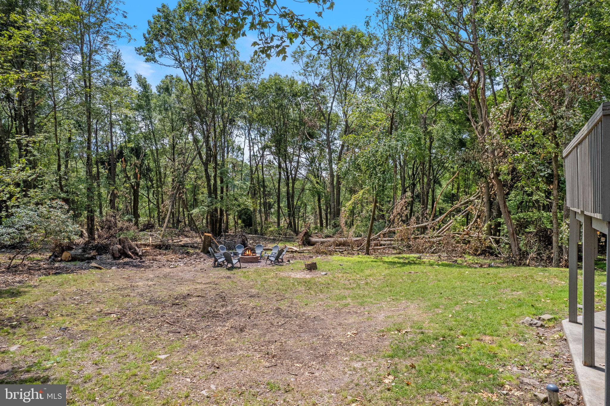 81 Pineknoll Drive Lake Harmony, PA 18624 - Photo 55 of 61 Forest View