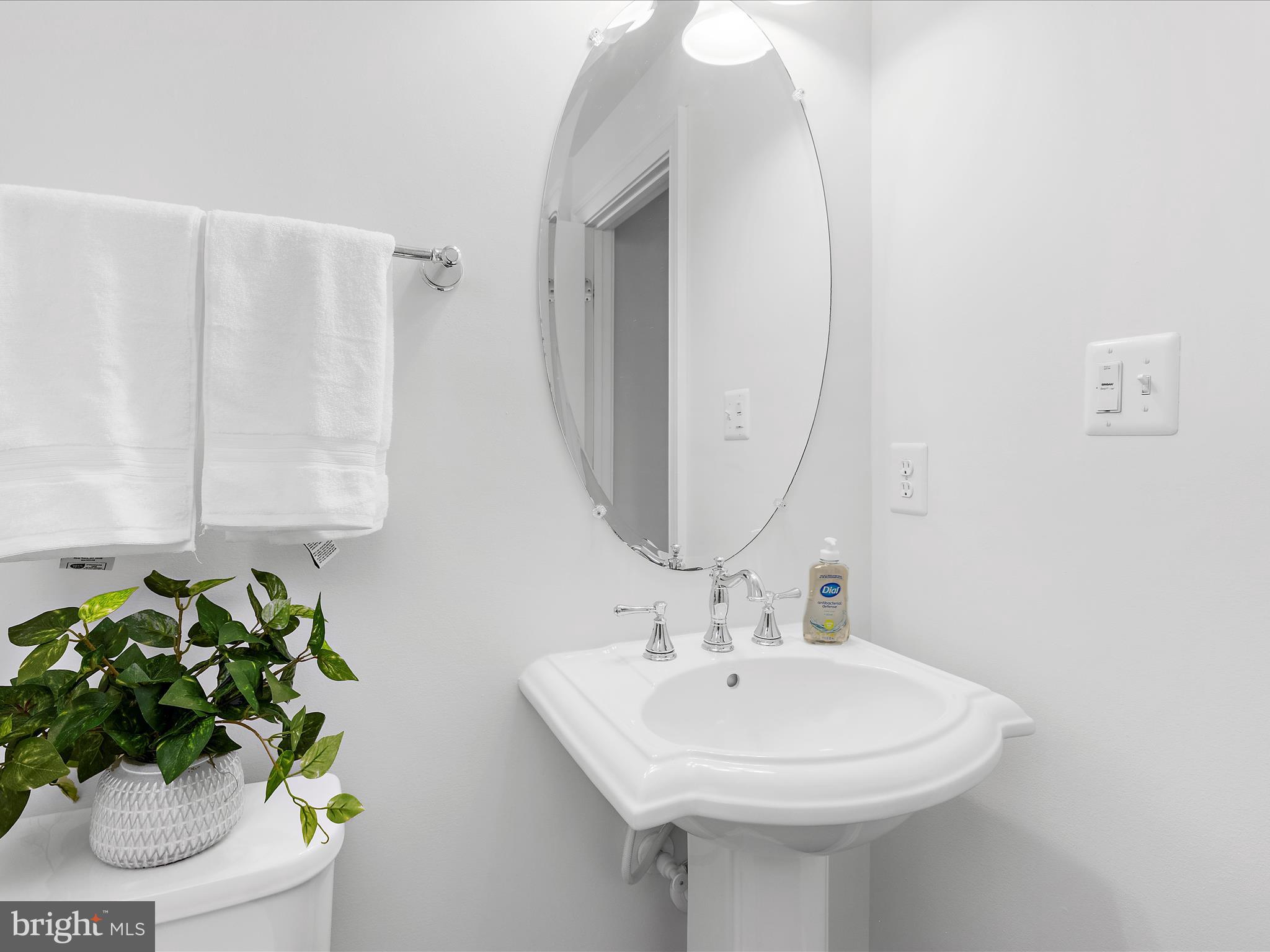 13801 Racetrack Field Court Bowie, MD 20720 - Photo 15 of 66 a bathroom with a sink a mirror and a potted plant