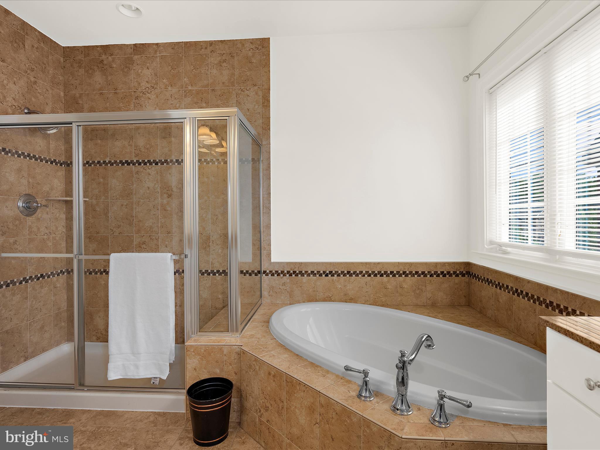 13801 Racetrack Field Court Bowie, MD 20720 - Photo 35 of 66 a bathroom with a tub and a sink