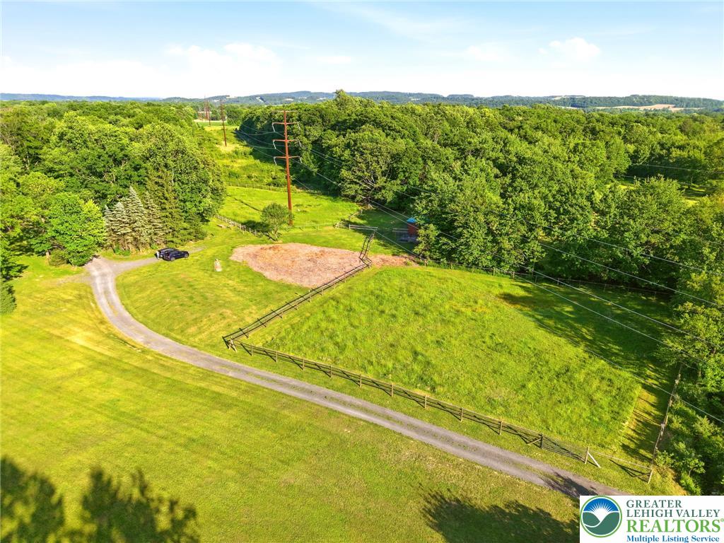 9033 Loop Road Slatington, PA 18080 - Photo 12 of 53 A winding gravel drive leads through lush green fields and dense woodland, offering secluded privacy.