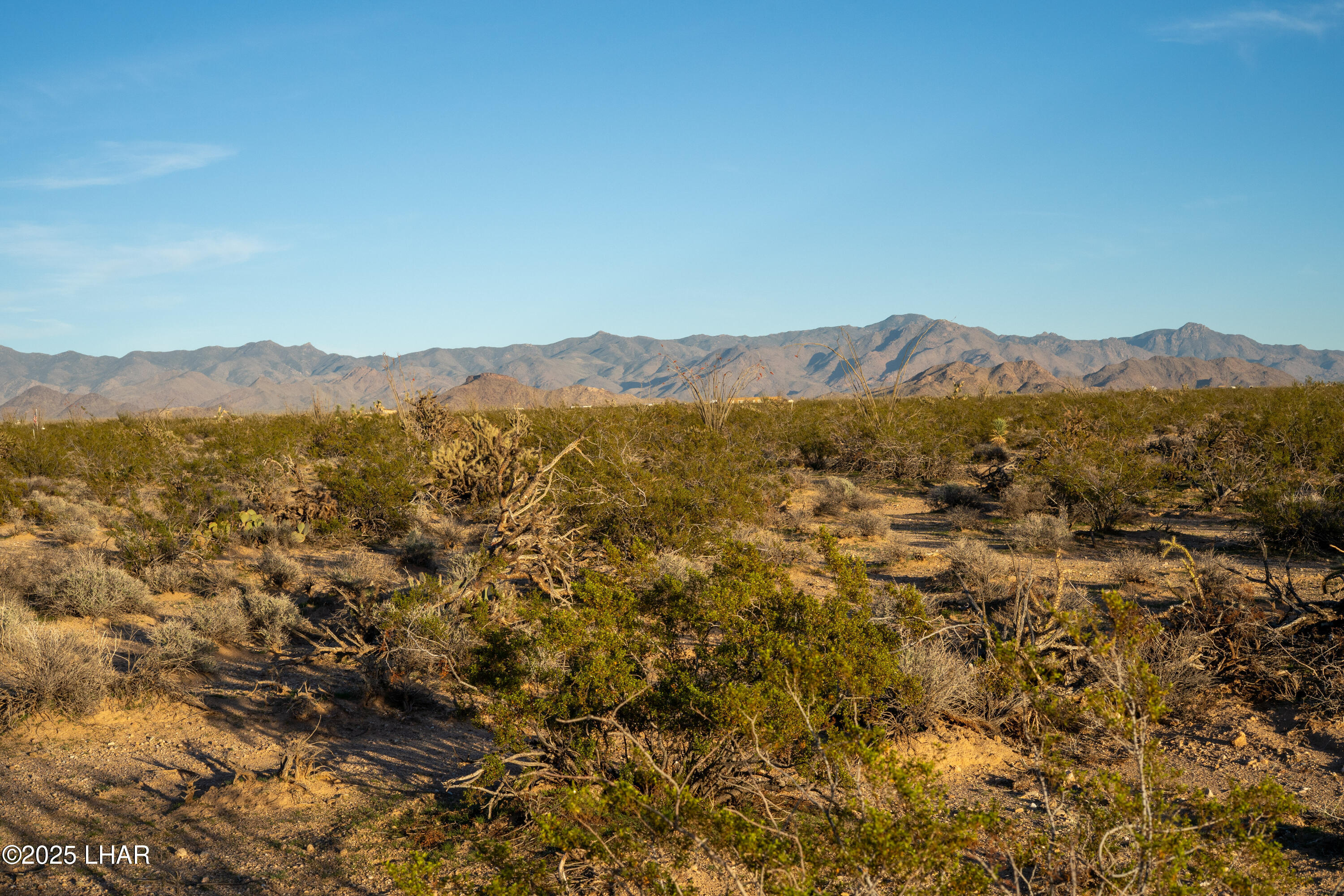Lot 29 South Carmen Road Yucca, AZ 86438 - Photo 21 of 22 a view of a town with mountains in the background