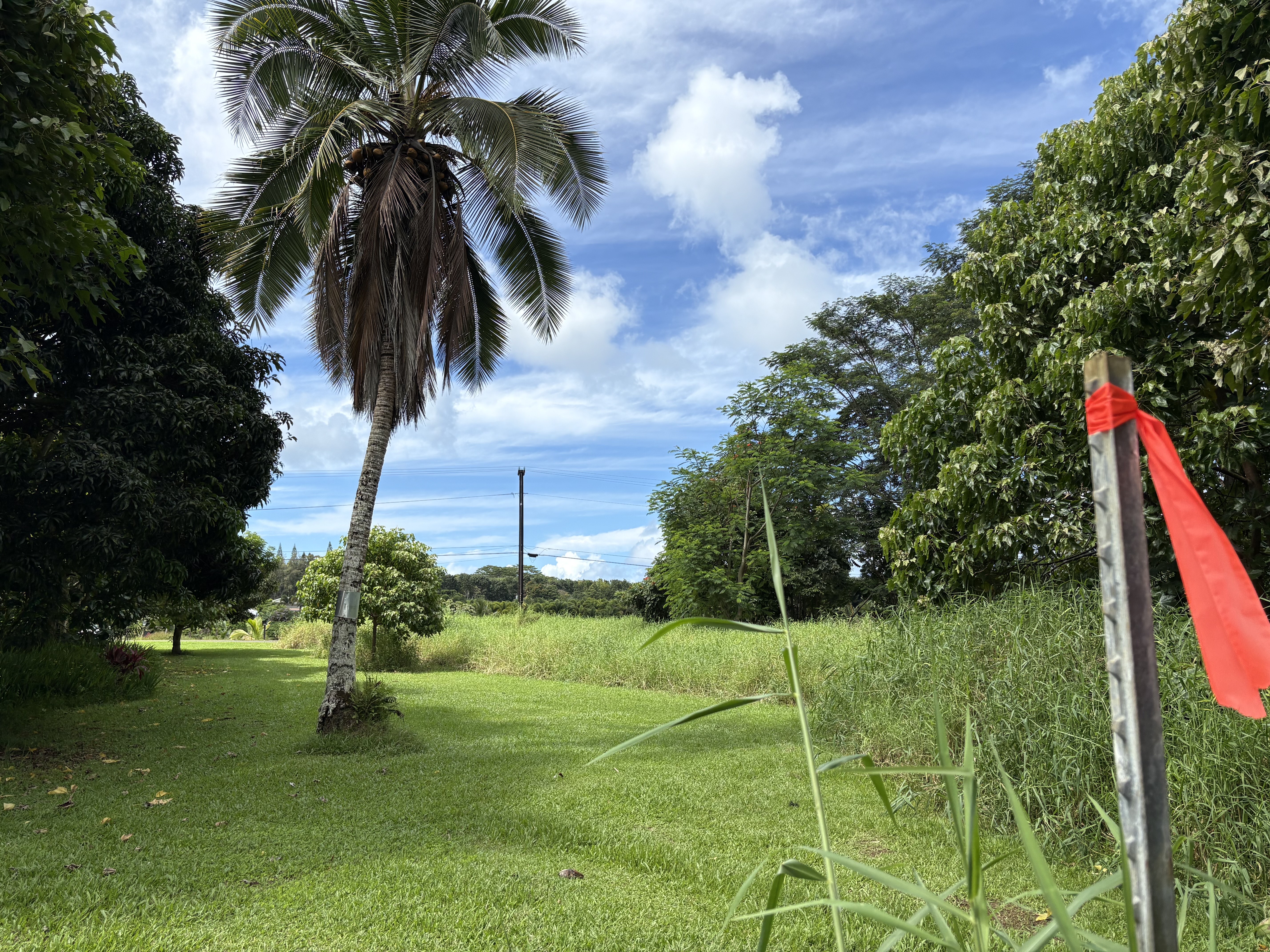 Kuawa Road Kilauea, HI 96754 - Photo 3 of 7 a garden view