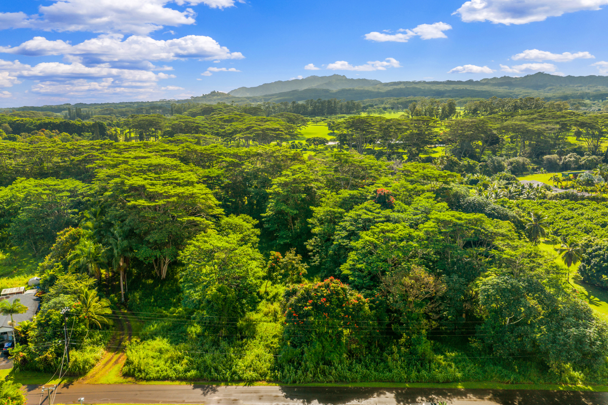 Kuawa Road Kilauea, HI 96754 - Photo 6 of 7 a view of a city