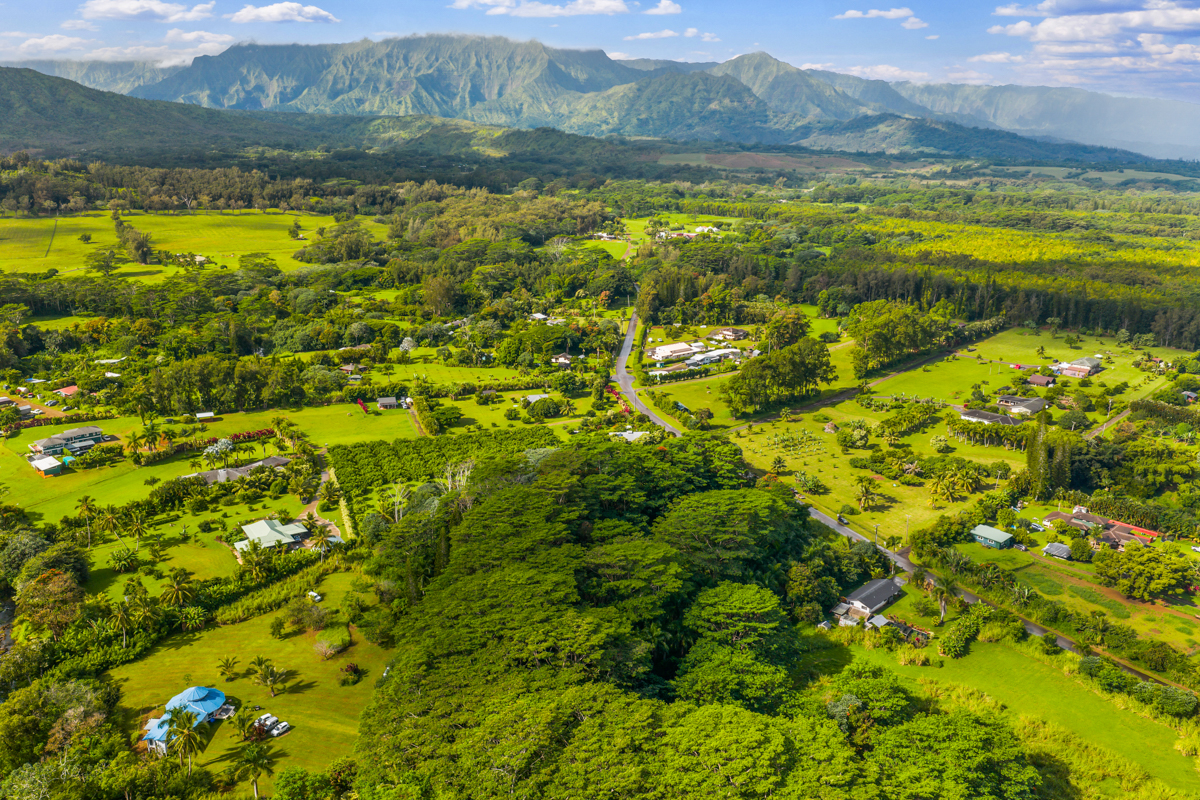 Kuawa Road Kilauea, HI 96754 - Photo 7 of 7 a view of a lake with a mountain