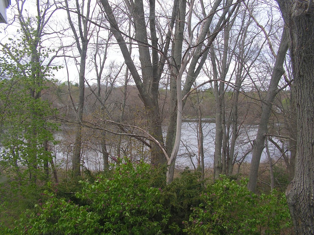 11 Roberts Road Canton, MA 02021 - Photo 17 of 17 Gallery Image 17