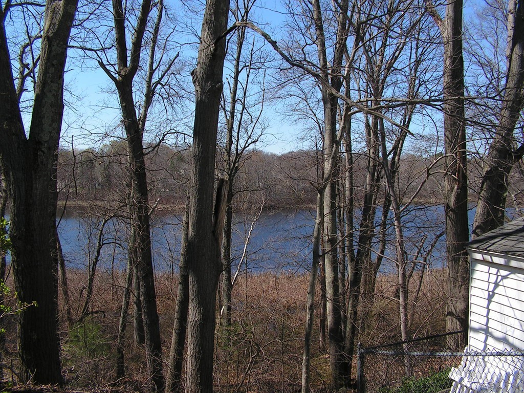 11 Roberts Road Canton, MA 02021 - Photo 3 of 17 Gallery Image 3