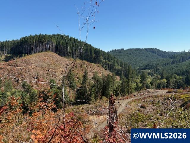 0 Van Horn Road Alsea, OR 97324 - Photo 11 of 16