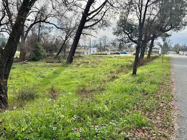 a view of road and trees