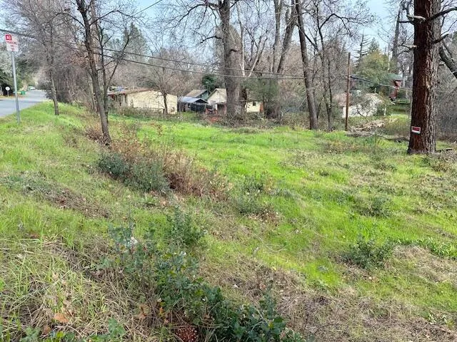 a view of backyard with tree