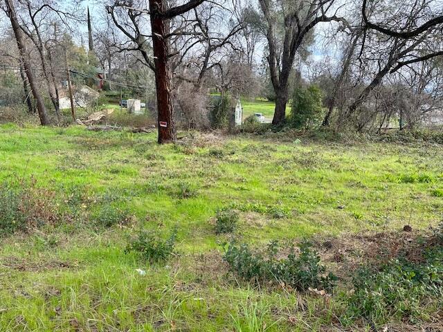 0 Front Street Shasta Lake, CA 96019 - Photo 9 of 18 a view of backyard with tree