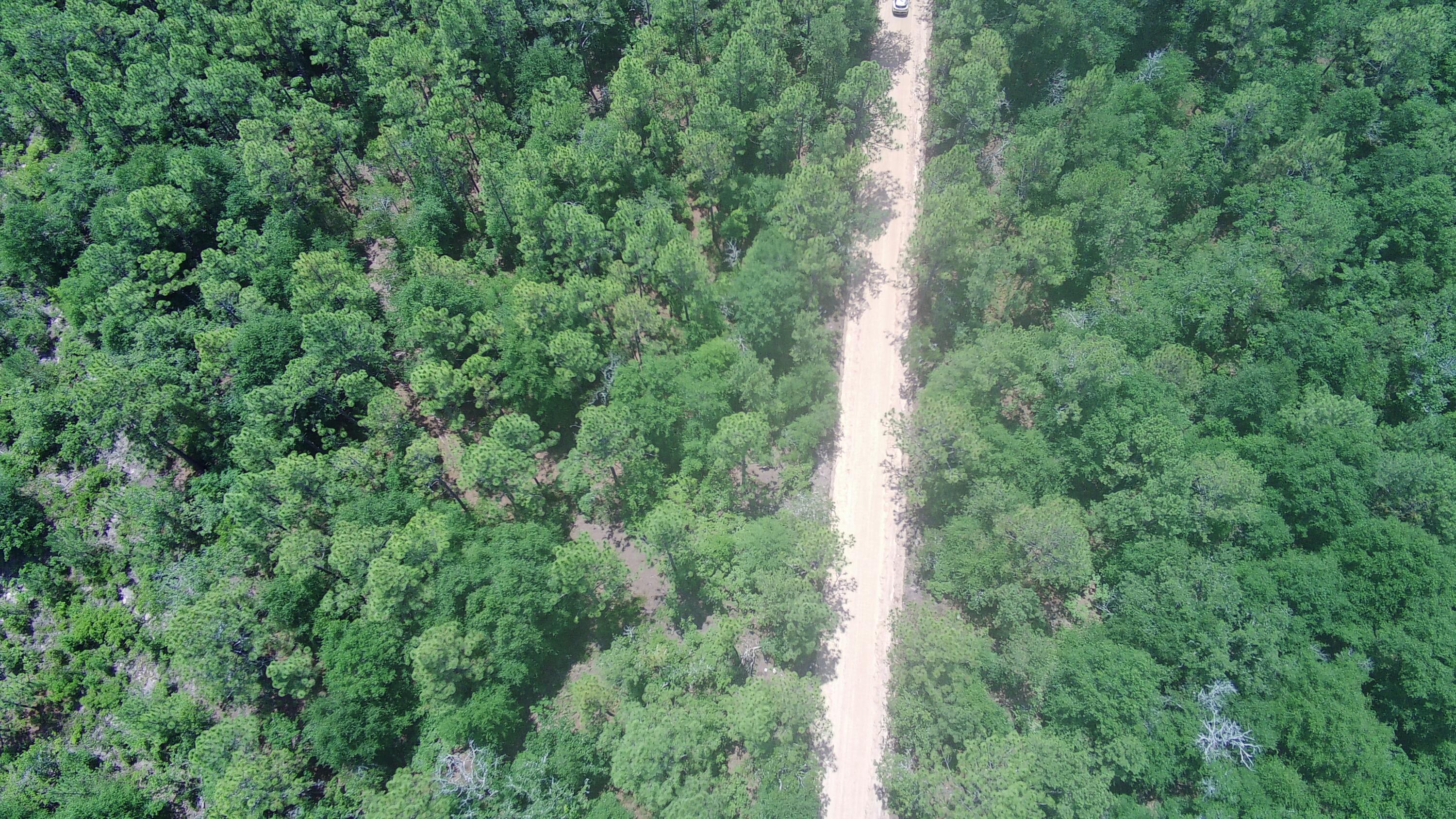 Xxx Jewelweed Road Salley, SC 29137 - Photo 10 of 12 Gallery Image 10