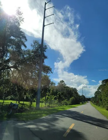 a view of a yard with large trees