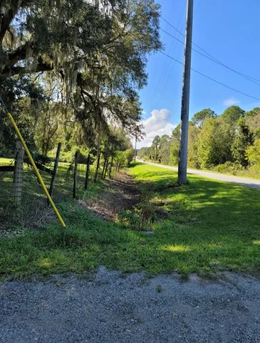 a view of a yard with a tree