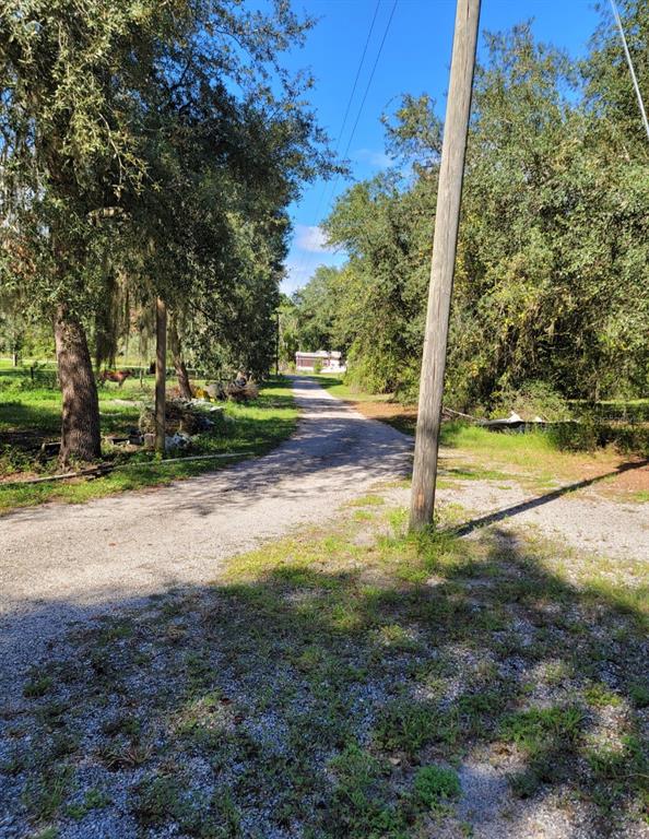 213 Clifton Road Crescent City, FL 32112 - Photo 22 of 51 a view of a yard with a tree