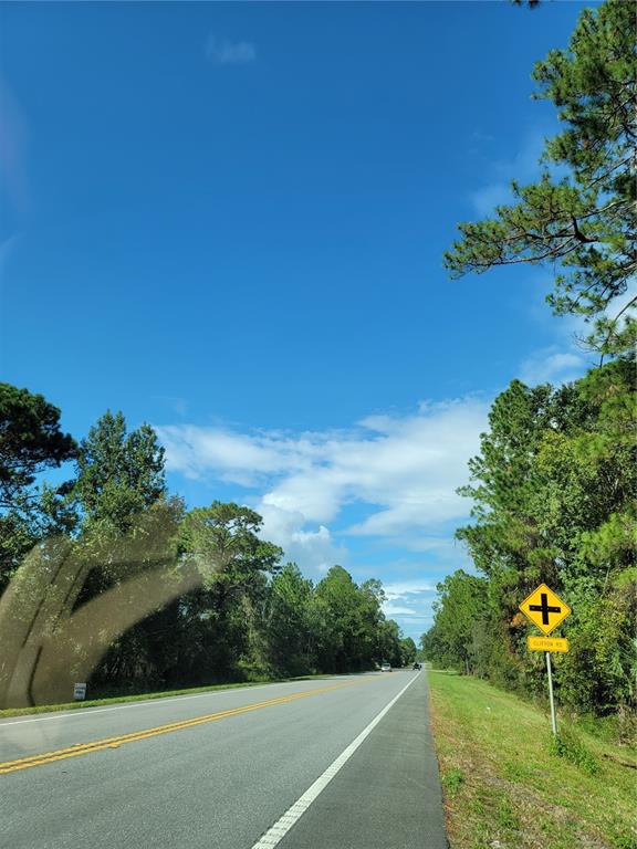 213 Clifton Road Crescent City, FL 32112 - Photo 28 of 51 a view of a yard