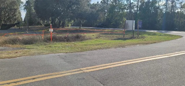 a view of a green field with a tree in the background