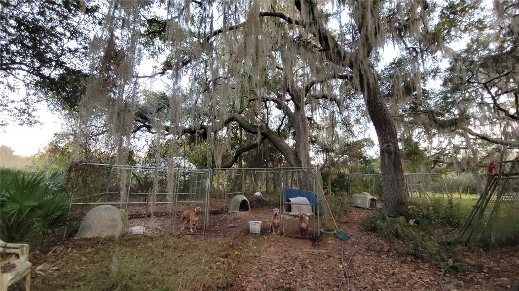 213 Clifton Road Crescent City, FL 32112 - Photo 41 of 51 a view of a park with large trees